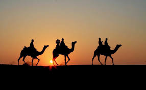 Rajasthan Camel Safari Tour