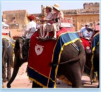 Rajasthan Tour Packages